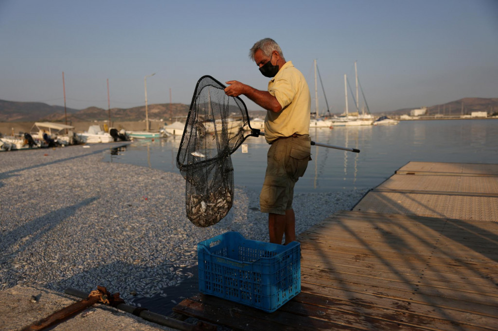 Ilustračn&aacute; fotografia. FOTO: Reuters
