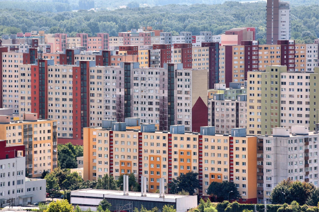 ILUSTRAČN&Eacute; FOTO: Dreamstime