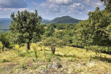 Bol prv&yacute;, kto geologicky presk&uacute;mal Mal&eacute; Karpaty.