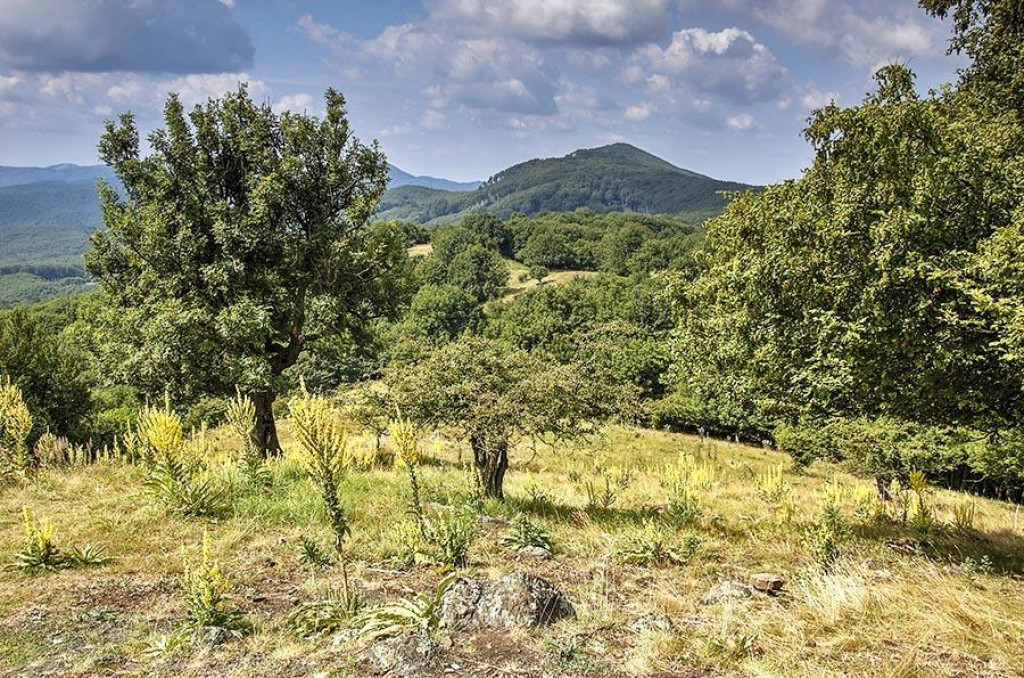 Bol prv&yacute;, kto geologicky presk&uacute;mal Mal&eacute; Karpaty.