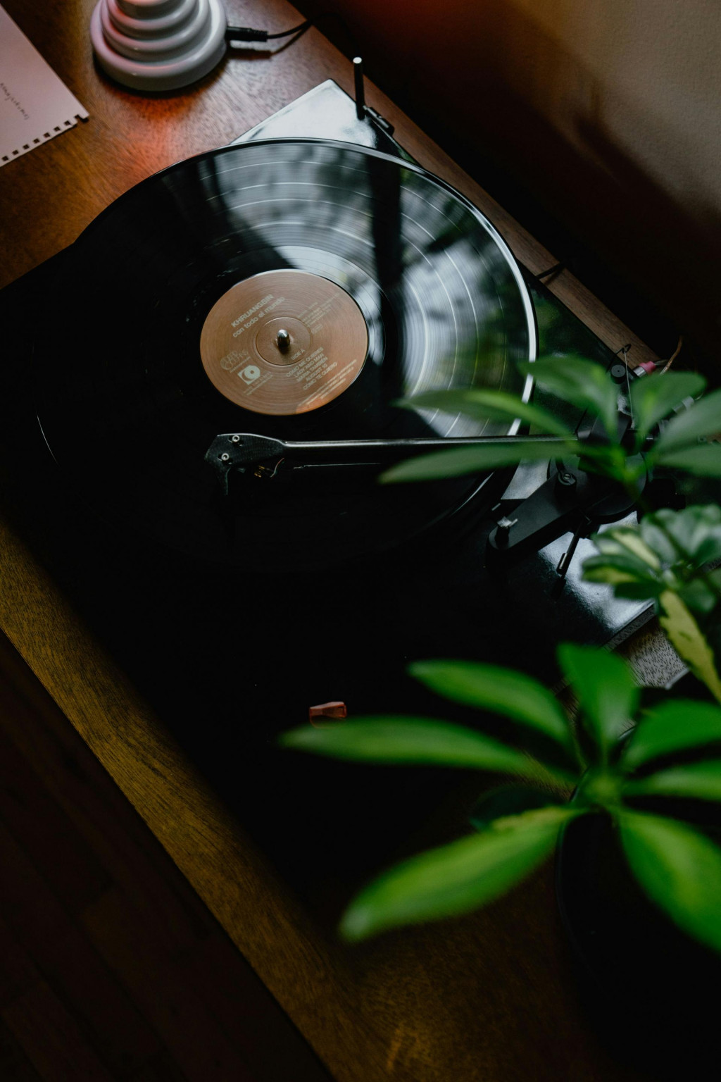 Vinylov&aacute; platňa