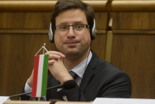 Predseda parlamentn&eacute;ho klubu Fideszu Gergely Guly&aacute;s. FOTO TASR/Martin Baumann