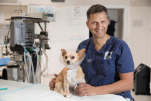 Pavol Vala&scaron;ek je veterin&aacute;rny chirurg a ortop&eacute;d, ktor&yacute; sa &scaron;pecializuje na ochorenia a &uacute;razy pohybov&eacute;ho apar&aacute;tu psov a mačiek. FOTO: Peter Mayer