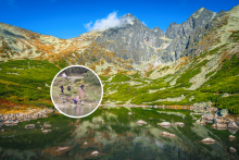 Česky sa rozhodli osviežiť sa v Skalnatom plese. FOTO: Dreamstime, Instagram/@tatry_official, kol&aacute;ž HN