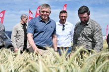 Predseda vl&aacute;dy SR Robert Fico (Smer-SD), predseda Slovenskej poľnohospod&aacute;rskej a potravin&aacute;rskej komory Emil Macho a minister p&ocirc;dohospod&aacute;rstva a rozvoja vidieka SR Richard Tak&aacute;č (Smer-SD) počas 15. ročn&iacute;ka Celoslovensk&yacute;ch dn&iacute; poľa v Dolnej Krupej. FOTO: TASR/Luk&aacute;&scaron; Grinaj