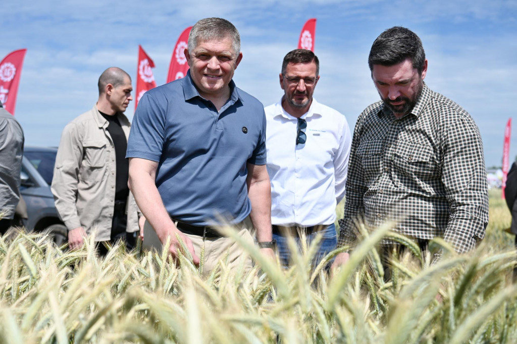 Predseda vl&aacute;dy SR Robert Fico (Smer-SD), predseda Slovenskej poľnohospod&aacute;rskej a potravin&aacute;rskej komory Emil Macho a minister p&ocirc;dohospod&aacute;rstva a rozvoja vidieka SR Richard Tak&aacute;č (Smer-SD) počas 15. ročn&iacute;ka Celoslovensk&yacute;ch dn&iacute; poľa v Dolnej Krupej. FOTO: TASR/Luk&aacute;&scaron; Grinaj