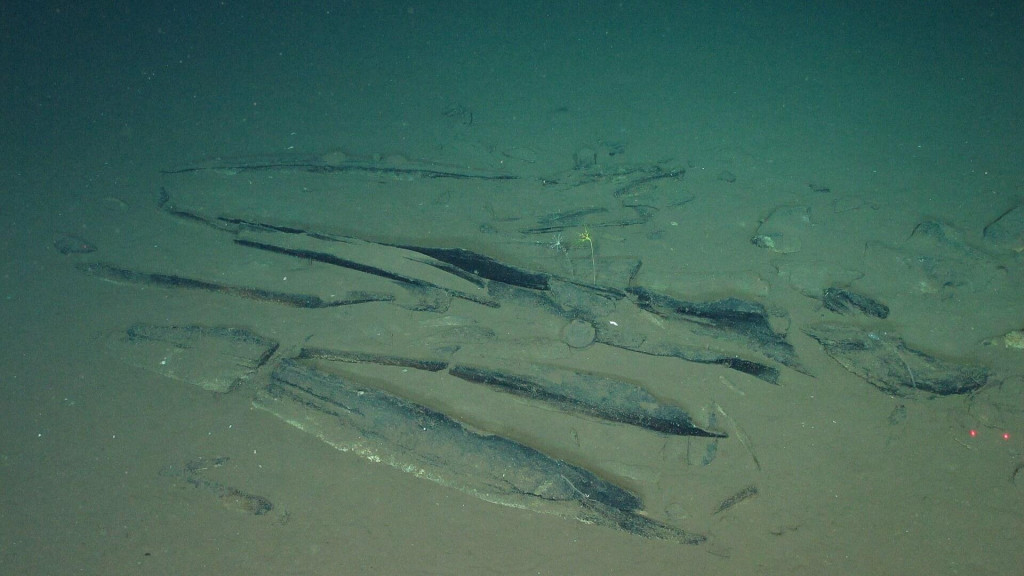 Vedci objavili na dne Indick&eacute;ho oce&aacute;nu rozsiahle pohrebisko veľr&yacute;b. FOTO: TASR/AP
