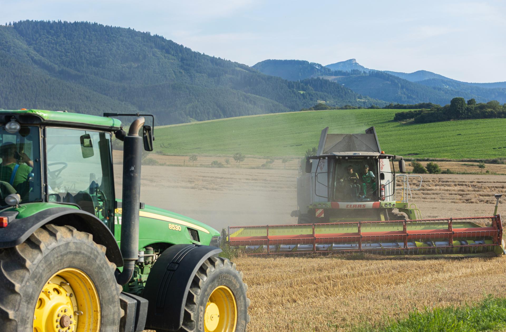 Kombajny vy&scaron;li do pol&iacute; mimoriadne skoro. Farm&aacute;ri sa b&aacute;li, že &uacute;rodu zožer&uacute; hrabo&scaron;e