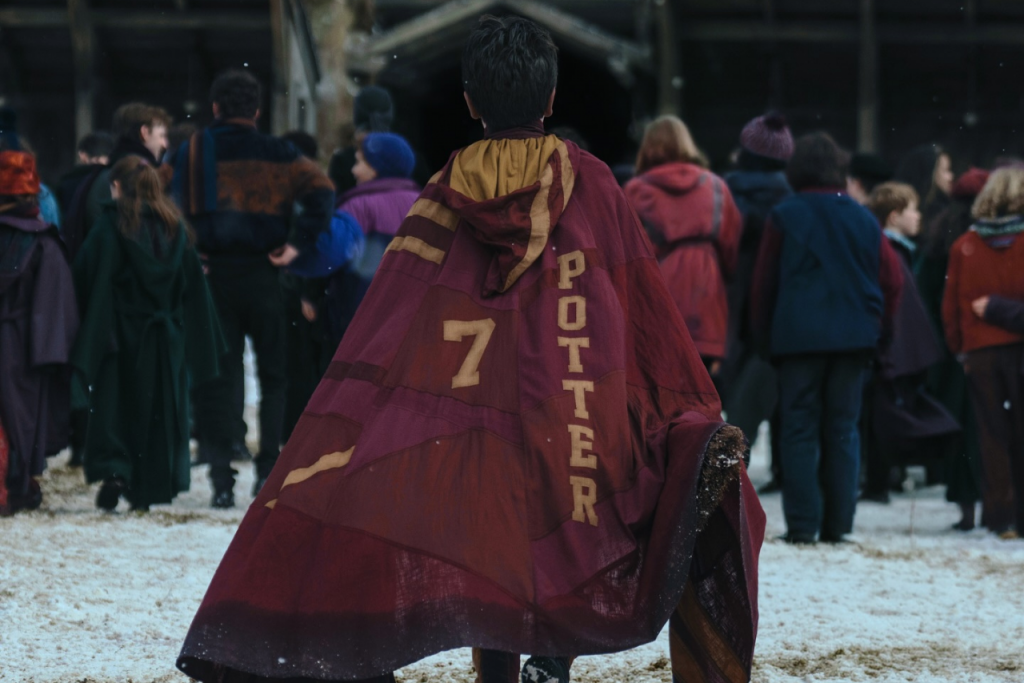 Seri&aacute;lov&yacute; Harry Potter