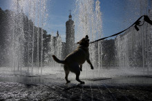 Ilustračn&aacute; fotografia. FOTO: TASR/AP