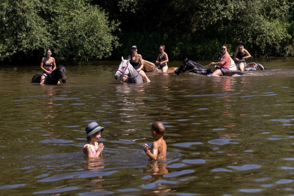 Najlep&scaron;&iacute; sp&ocirc;sob, ako sa vysporiadať s vysok&yacute;mi teplotami, je brodiť sa s koňom vo vode. FOTO: Reuters