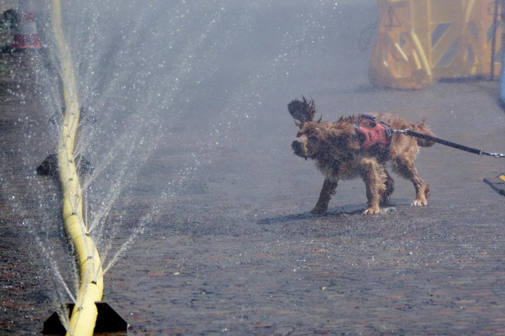 Ilustračn&aacute; fotografia. FOTO: TASR/AP