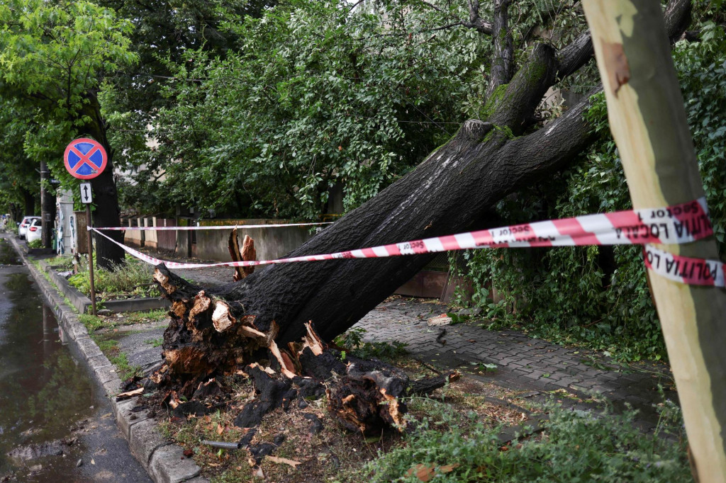 Ilustračn&aacute; fotografia. FOTO: Reuters