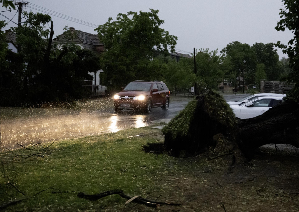 Na sn&iacute;mke vyvr&aacute;ten&yacute; strom po b&uacute;rke v obci Slovensk&yacute; Grob v roku 2025.