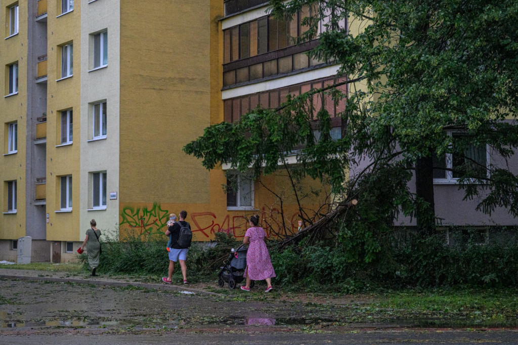 Ľudia prech&aacute;dzaj&uacute; okolo pol&aacute;man&yacute;ch stromov po silnej b&uacute;rke na Volgogradskej ulici v Pre&scaron;ov. FOTO: TASR/Veronika Mihalikov&aacute;