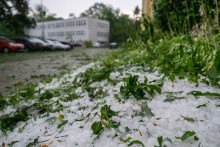 Na sn&iacute;mke kr&uacute;py po silnej b&uacute;rke na S&iacute;dlisku 3 v Pre&scaron;ove v stredu 1. j&uacute;la 2026. FOTO: TASR/Veronika Mihalikov&aacute;
