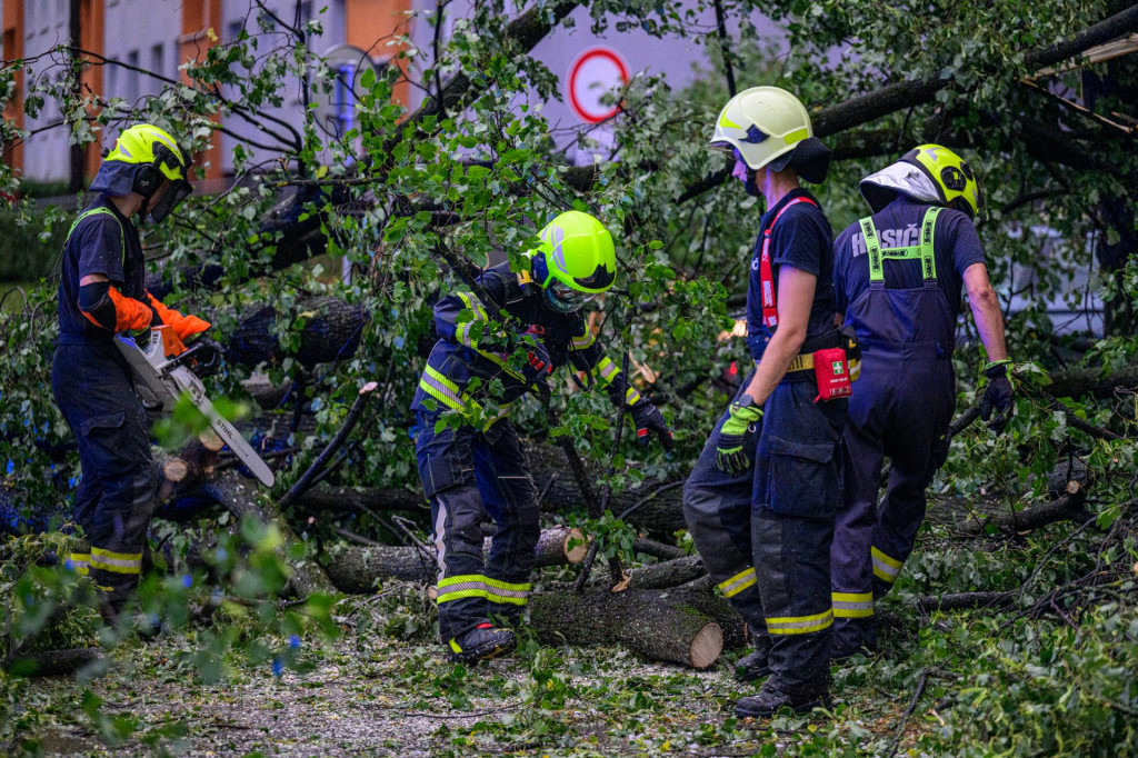 Dobrovoľn&iacute; hasiči p&iacute;lia popadan&eacute; stromy po silnej b&uacute;rke na Volgogradskej ulici na S&iacute;dlisku 3 v Pre&scaron;ove. FOTO: TASR/Veronika Mihalikov&aacute;