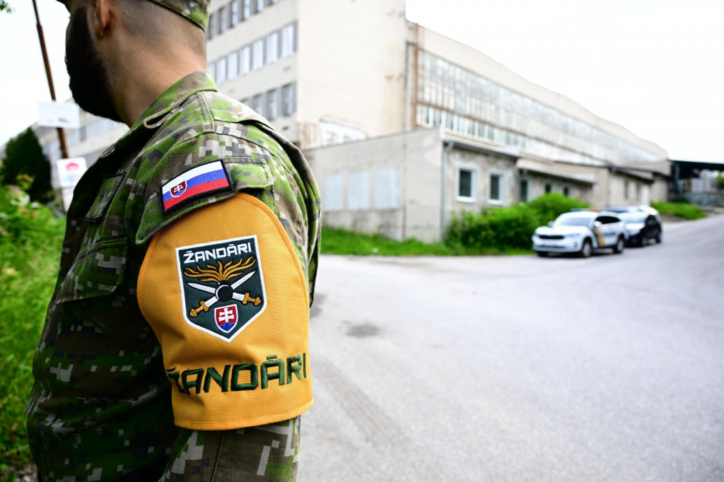 Žand&aacute;ri funguj&uacute; v slovensk&yacute;ch uliciach od decembra minul&eacute;ho roka. FOTO: TASR/M. Medňansk&yacute;