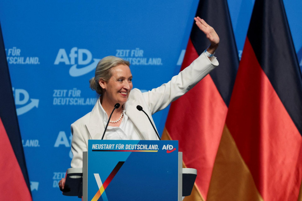 Spolupredsedn&iacute;čka AfD Alice Weidelov&aacute;. FOTO: REUTERS