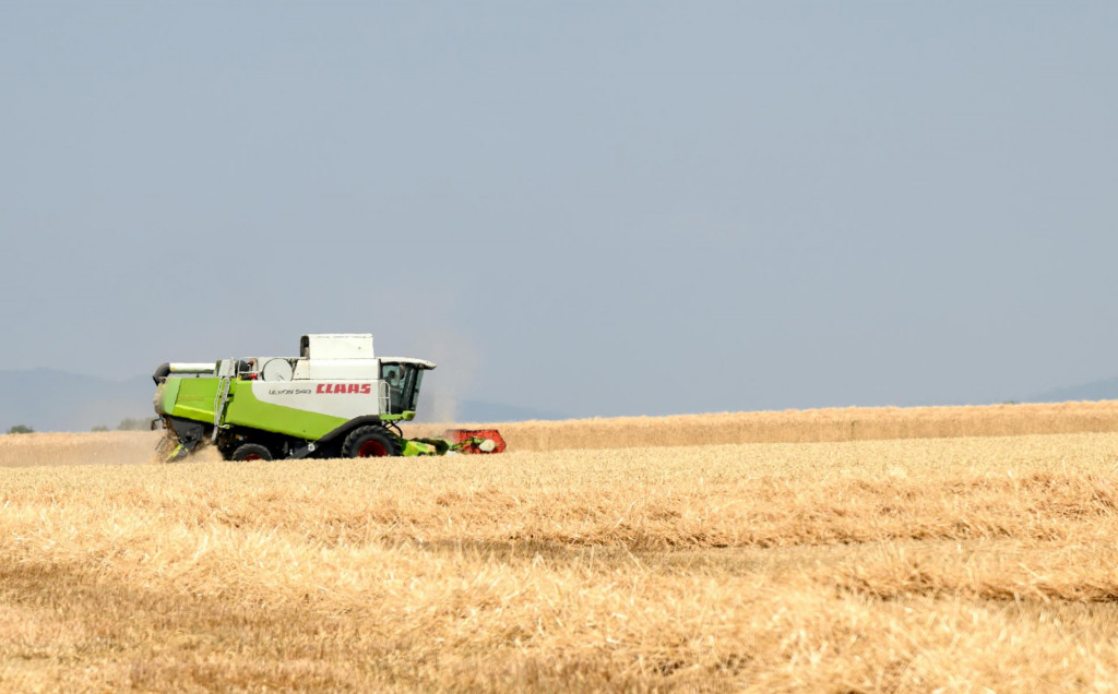 Konbajn počas žatvy obilia pri obci Čab v okrese Nitra. FOTO: TASR/Henrich Mi&scaron;ovič