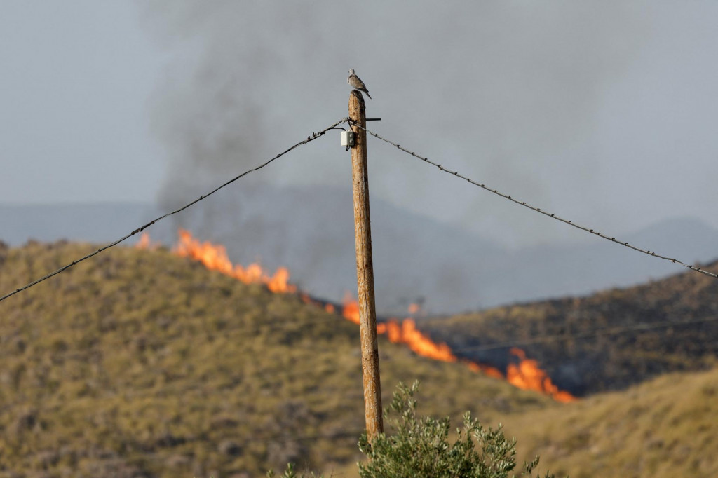 Lesn&yacute; požiar zasiahol provinciu Almeria v &Scaron;panielsku. FOTO: Reuters