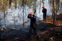 Franc&uacute;zski hasiči pracuj&uacute; na hasen&iacute; lesn&eacute;ho požiaru v lese Fontainebleau. FOTO: Reuters