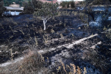 Pohľad na zhorenisko po lesn&yacute;ch požiaroch v alž&iacute;rskom meste Hammam Melouane. FOTO: TASR/AP