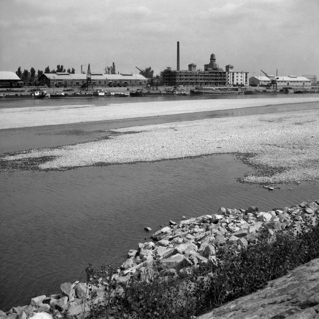 Dunaj