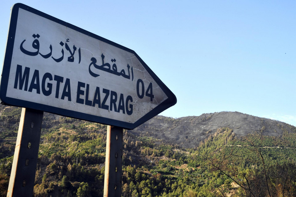 Zhoren&yacute; les na vrchu po lesn&yacute;ch požiaroch v alž&iacute;rskom meste Hammam Melouane. FOTO: TASR/AP