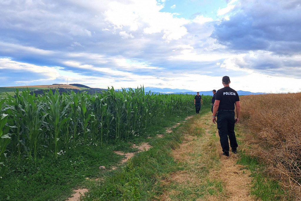 Na sn&iacute;mke policajti vykon&aacute;vaj&uacute; rozsiahlu p&aacute;traciu akciu po trojročnom chlapčekovi, ktor&yacute; sa stratil v kukuričnom poli pri obci Huncovce v okrese Kežmarok. FOTO: TASR/Adri&aacute;na Hudecov&aacute;