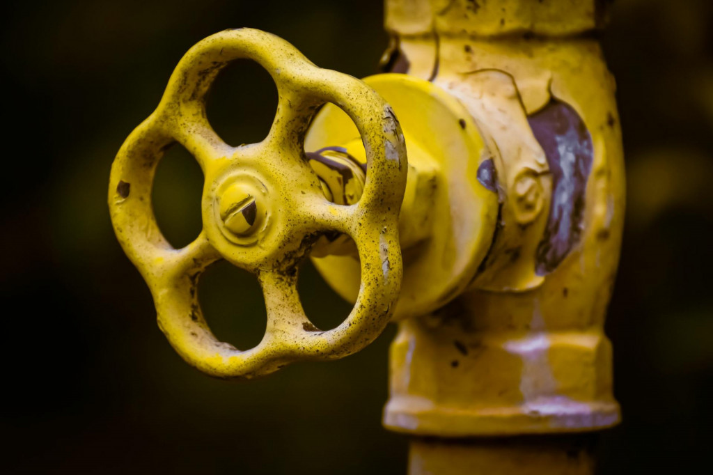 Ilustračn&aacute; fotografia. FOTO: Pexels/Alexas Fotos