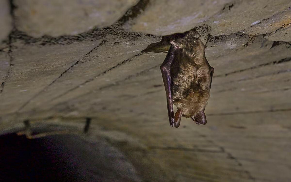 Ilustračn&eacute; foto