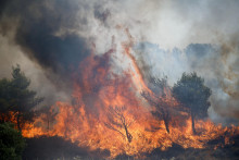 Lesn&yacute; požiar neďaleko At&eacute;n. FOTO: Reuters

