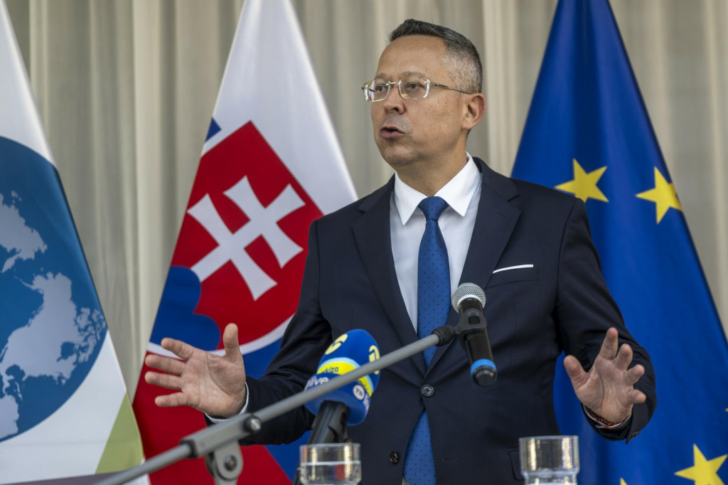 Minister financi&iacute; Ladislav Kamenick&yacute; nie vždy použ&iacute;va odborn&eacute; argumenty a nahr&aacute;dza ich politick&yacute;mi. FOTO: TASR/M. Baumann