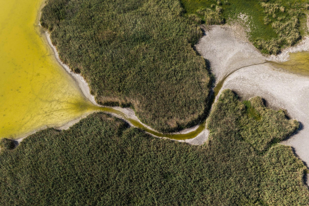 Pohľad z dronu na jazero Velencei, tretie najv&auml;č&scaron;ie jazero v Maďarsku, ktor&eacute; vysych&aacute;. FOTO: Reuters