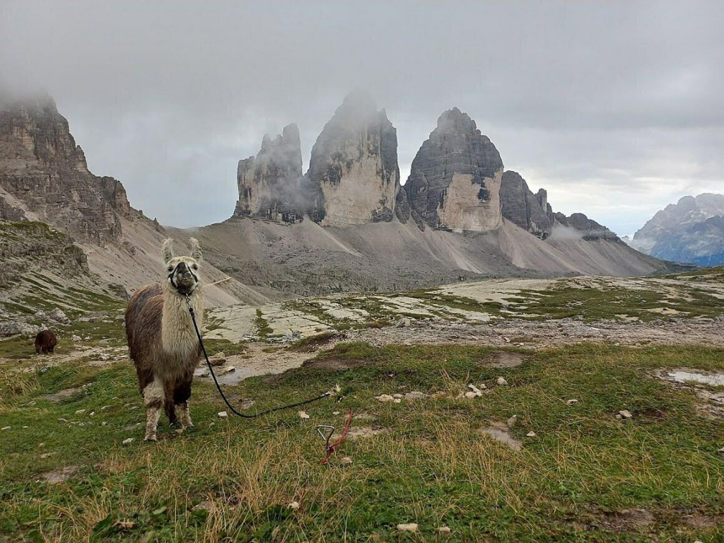 Tri &scaron;t&iacute;ty patria k najzn&aacute;mej&scaron;&iacute;m symbolom Dolomitov. FOTO: Miroslava Sloupov&aacute;