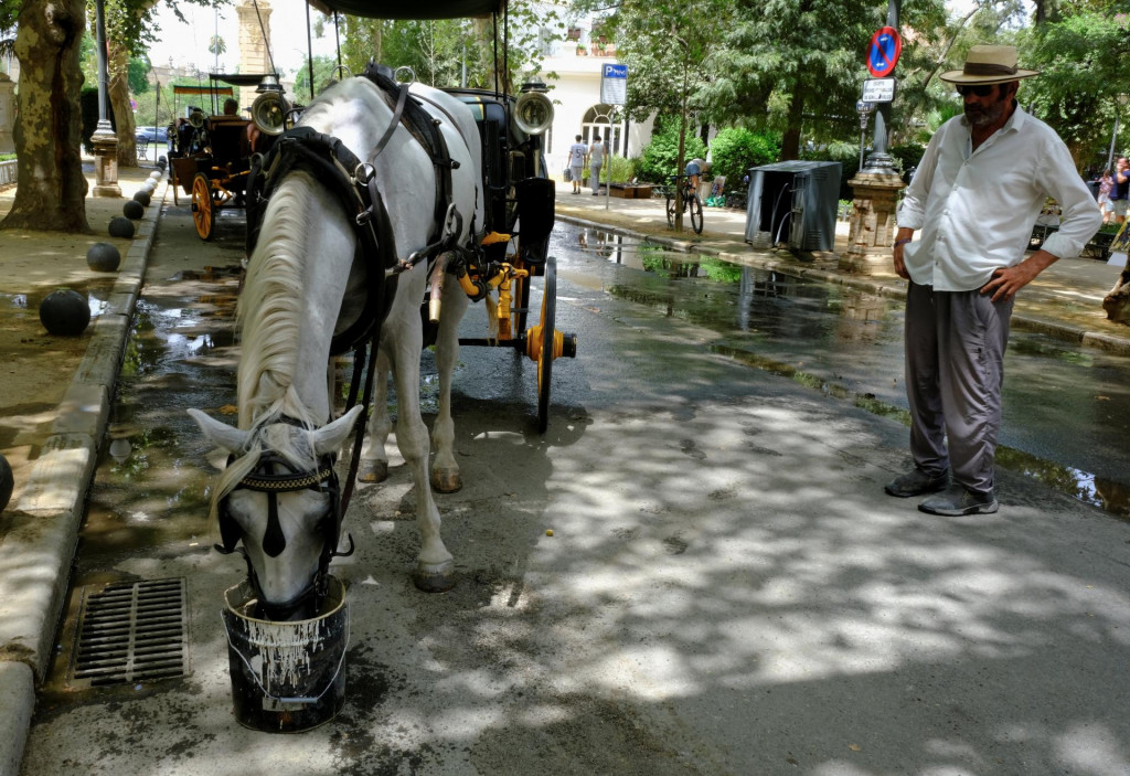 V r&aacute;mci E&Uacute; najv&auml;č&scaron;ej ekonomickej strate pre extr&eacute;mne hor&uacute;čavy čel&iacute; Franc&uacute;zsko, nasledovan&eacute; Talianskom a &Scaron;panielskom. FOTO: REUTERS