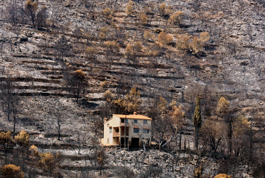 N&aacute;sledky po lesnom požiari neďaleko Vila Vella v provincii Valencia na v&yacute;chode &Scaron;panielska vo &scaron;tvrtok 30. j&uacute;la 2026. FOTO: TASR/AP