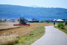 Na sn&iacute;mke cyklistka jazd&iacute; po Cykloželezničke Pre&scaron;ov - Sigord počas žatvy obilia pri obci Dulova Ves v okrese Pre&scaron;ov. FOTO: TASR/Veronika Mihalikov&aacute;