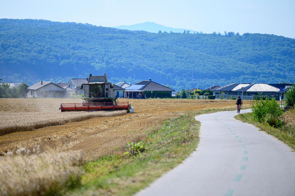 Na sn&iacute;mke cyklistka jazd&iacute; po Cykloželezničke Pre&scaron;ov - Sigord počas žatvy obilia pri obci Dulova Ves v okrese Pre&scaron;ov. FOTO: TASR/Veronika Mihalikov&aacute;