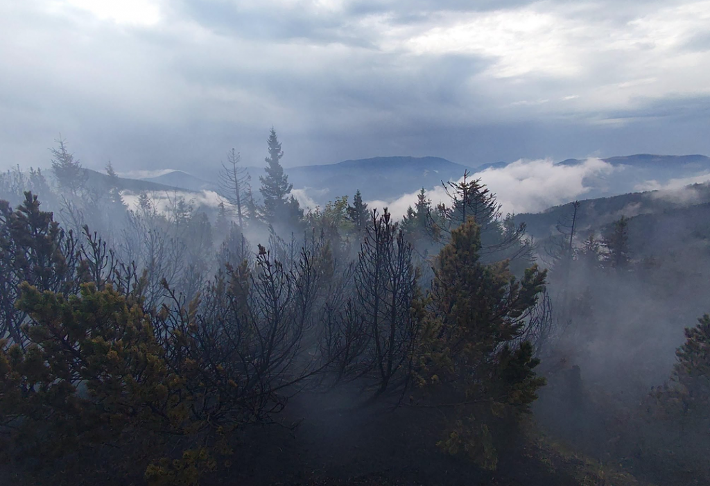 Požiar v N&aacute;rodnom parku Veľk&aacute; Fatra. FOTO: Facebook/NP Veľk&aacute; Fatra