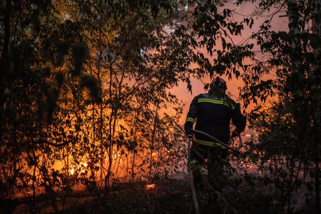 Hasič bojuje s lesn&yacute;m požiarom v Deliblatskej pe&scaron;čare v Srbsku. FOTO: Reuters