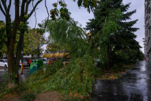 N&aacute;sledky silnej b&uacute;rky a spadnut&yacute; strom v mestskej časti Podunajsk&eacute; Biskupice v Bratislave. FOTO: TASR/Jaroslav Nov&aacute;k