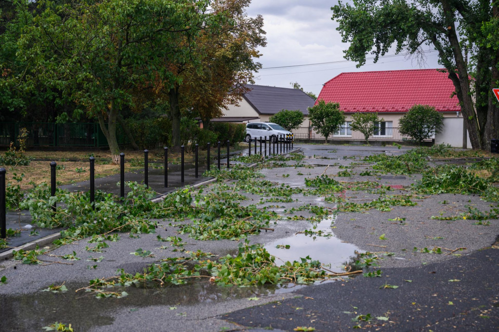 Na sn&iacute;mke n&aacute;sledky silnej b&uacute;rky v mestskej časti Podunajsk&eacute; Biskupice v Bratislave 20. augusta 2026. FOTO: TASR/Jaroslav Nov&aacute;k