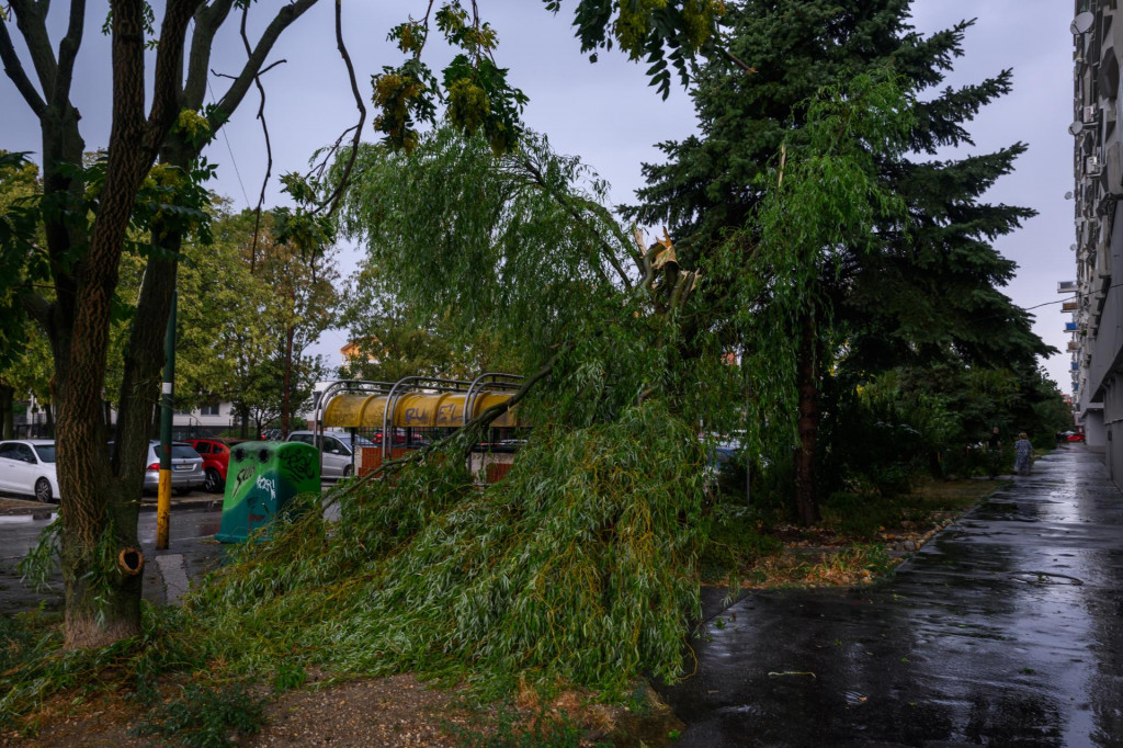N&aacute;sledky silnej b&uacute;rky a spadnut&yacute; strom v mestskej časti Podunajsk&eacute; Biskupice v Bratislave (20. augusta 2026). FOTO: TASR/Jaroslav Nov&aacute;k