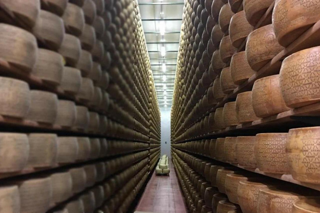 Tohtoročn&eacute; letn&eacute; sucho, ktor&eacute; v j&uacute;li postihlo 95 percent pevninsk&eacute;ho Franc&uacute;zska, zanechalo pastviny vyprahnut&eacute; a hol&eacute;, s deficitom tr&aacute;vy.FOTO: Jmiquelwine