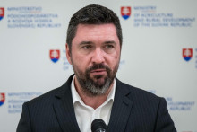 Minister p&ocirc;dohospod&aacute;rstva a rozvoja vidieka Richard Tak&aacute;č (Smer-SD). FOTO: TASR/Jakub Kotian