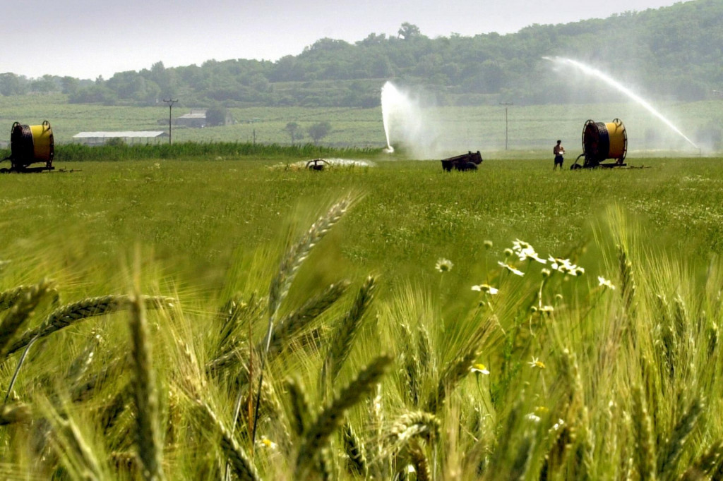 Arch&iacute;vna sn&iacute;mka zachyt&aacute;va zavlažovanie pol&iacute; podniku Agroreal v okrese Trebi&scaron;ov. FOTO: TASR/S. P&iacute;seck&yacute;