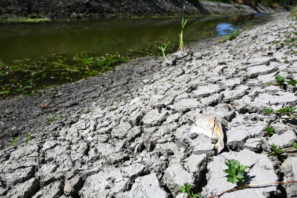 Vodu, ktor&aacute; v krajine spadne, možno zadržať a predĺžiť tak čas, počas ktor&eacute;ho zost&aacute;va dostupn&aacute; pre p&ocirc;du, rastliny aj podzemn&eacute; vody. FOTO: TASR/Martin Medňansk&yacute;