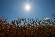 Meteorologick&aacute; služba M&eacute;t&eacute;o-France zaznamenala počas leta celkovo 53 dn&iacute; s podmienkami zodpovedaj&uacute;cimi defin&iacute;cii vlny hor&uacute;čav, čo je &bdquo;&uacute;plne bezprecedentn&yacute; počet&ldquo;. FOTO: Reuters